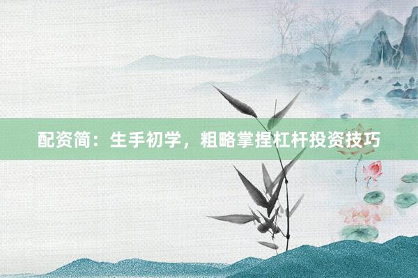 配资简：生手初学，粗略掌捏杠杆投资技巧