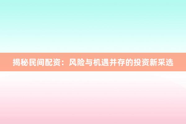 揭秘民间配资：风险与机遇并存的投资新采选