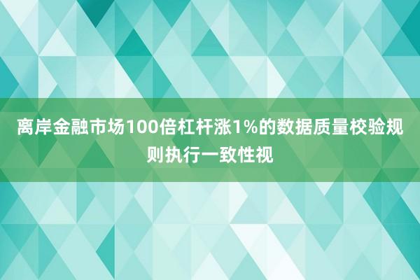 离岸金融市场100倍杠杆涨1%的数据质量校验规则执行一致性视