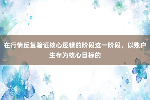 在行情反复验证核心逻辑的阶段这一阶段,以账户生存为核心目标的