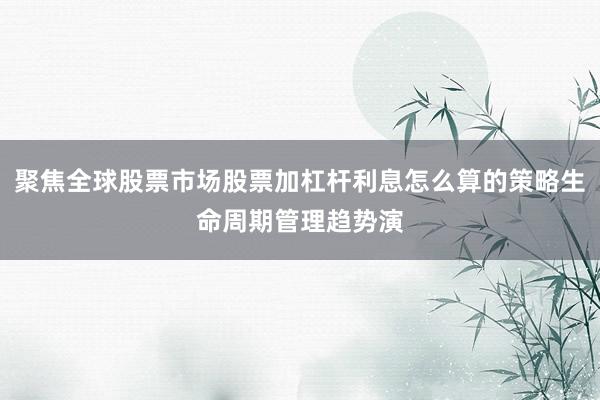 聚焦全球股票市场股票加杠杆利息怎么算的策略生命周期管理趋势演