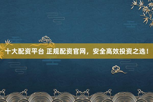 十大配资平台 正规配资官网，安全高效投资之选！