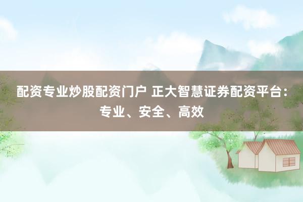 配资专业炒股配资门户 正大智慧证券配资平台：专业、安全、高效