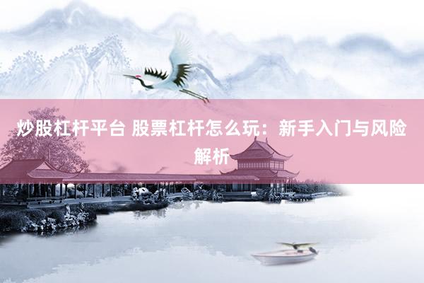 炒股杠杆平台 股票杠杆怎么玩：新手入门与风险解析