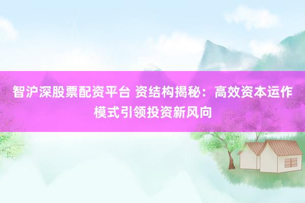 智沪深股票配资平台 资结构揭秘：高效资本运作模式引领投资新风向