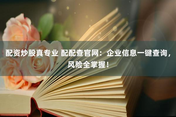 配资炒股真专业 配配查官网：企业信息一键查询，风险全掌握！